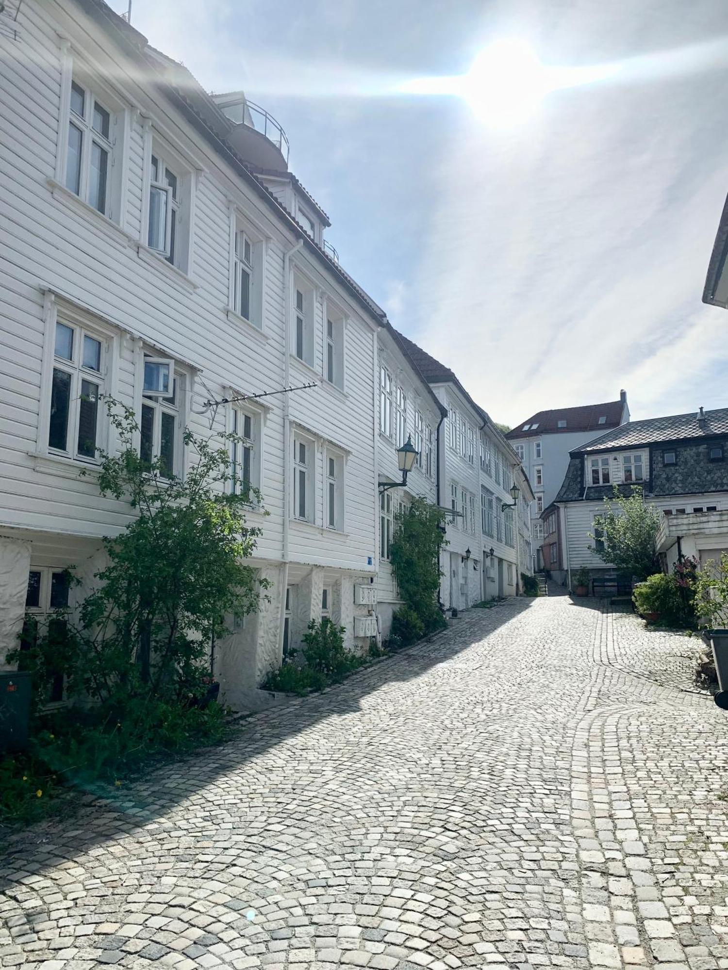 Nedre Stølen Apartment Bergen Exterior foto